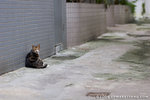 _MG_2754-2