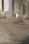 _MG_2761-2