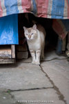 _MG_2764-2
