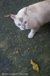 _MG_2767-2