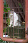 _MG_2771-2