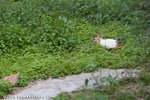 _MG_2773-2