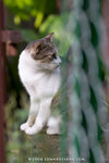 _MG_2776-2