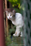_MG_2778-2