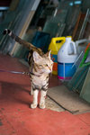 _MG_7635-2