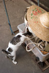 _MG_7643-2