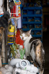 _MG_7655-2