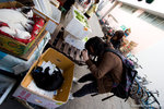 _MG_0523-2