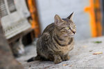 _MG_0755-2