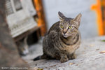 _MG_0759-2