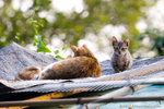 _MG_0769-2