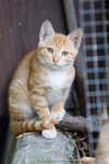 _MG_0793-2