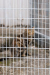 _MG_0800-3