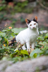 _MG_0807-2