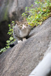 _MG_0817-2