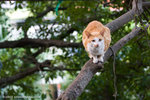 _MG_0838-2
