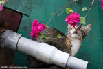 _MG_0867-2