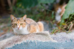 _MG_2404-2