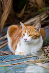 _MG_2423-2