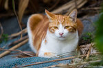 _MG_2427-2