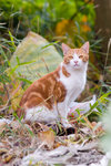 _MG_2474-2