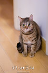 _MG_1745-2