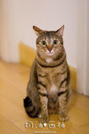 _MG_1761-2