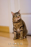 _MG_1780-2