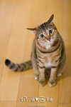 _MG_1822-2
