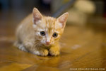 MG_9897_2_filtered