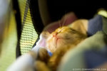 MG_9960_2_filtered