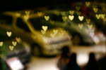 _MG_3515-2