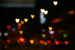 _MG_3525-2