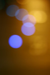 _MG_5236