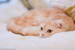 _MG_2983-2