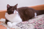_MG_3181-2