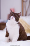 _MG_3204-2