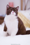 _MG_3207-2