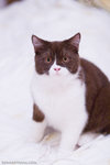 _MG_3210-2