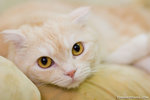 _MG_3220-2