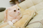 _MG_3258-2