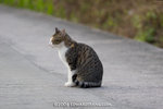 _MG_5811-2