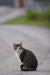 _MG_5819-2