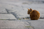 _MG_5839-2