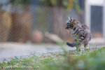 _MG_5841-2