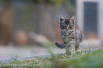_MG_5847-2