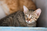_MG_3402-2