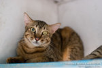 _MG_3427-2