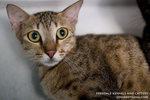 _MG_3442-2