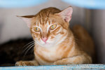 _MG_3464-2